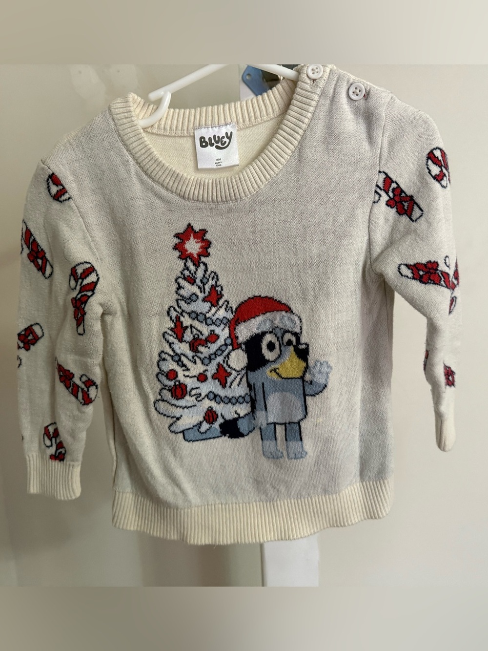 Bluey Christmas Sweater